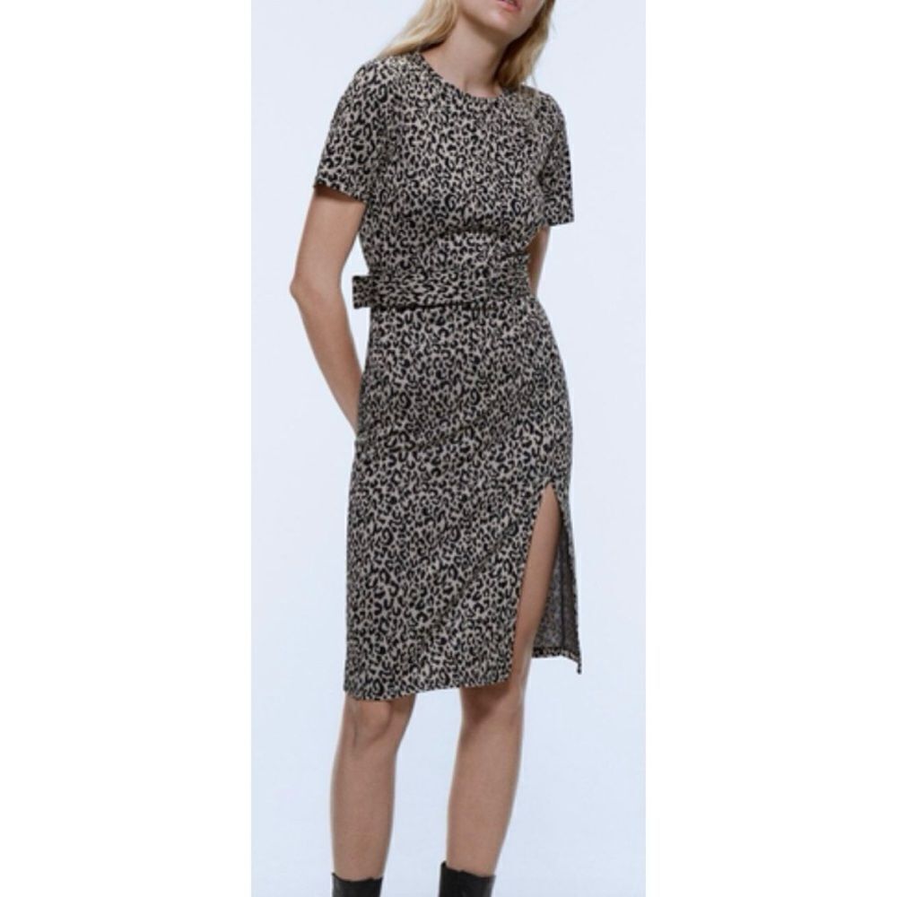 Zara Animal Print Dress